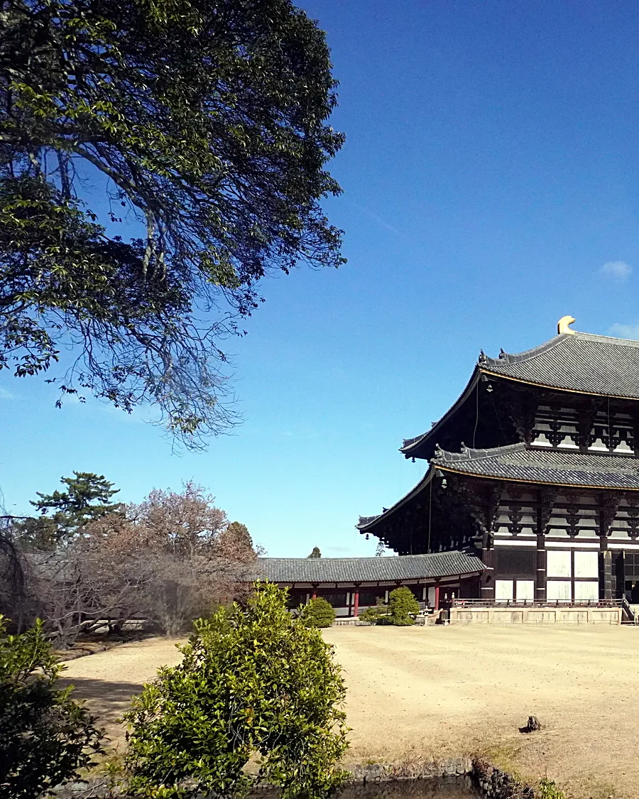 Tōdai-ji Daibutsuden across the lawns, Nara