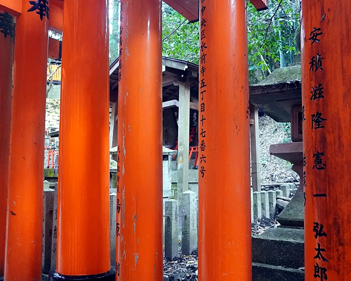 Inscribed torii gates, Fushimi Inari