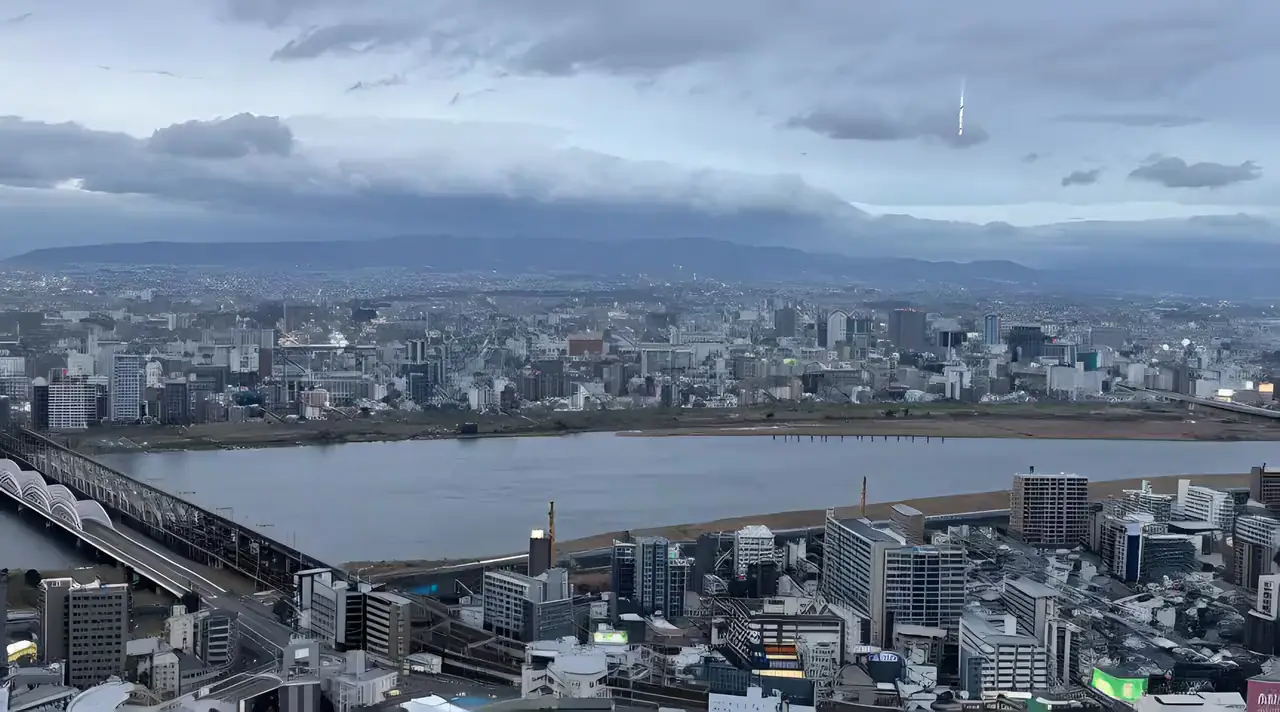 Osaka from above