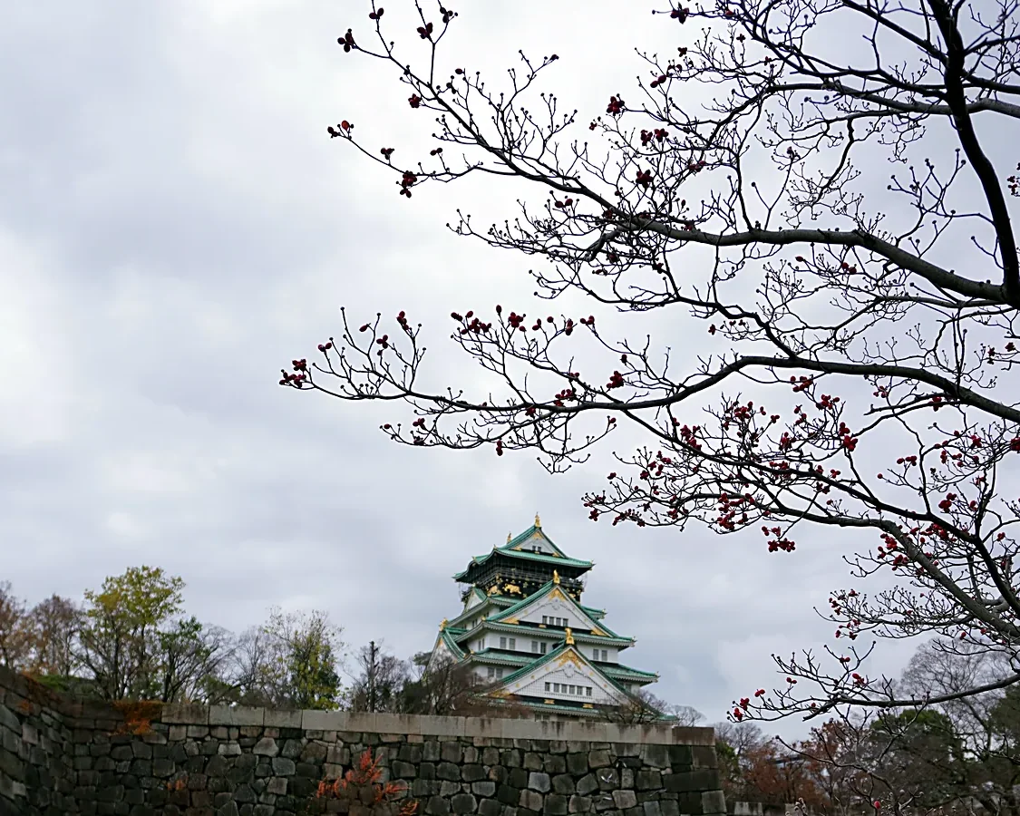 Osaka Castle keep beyond the outer walls