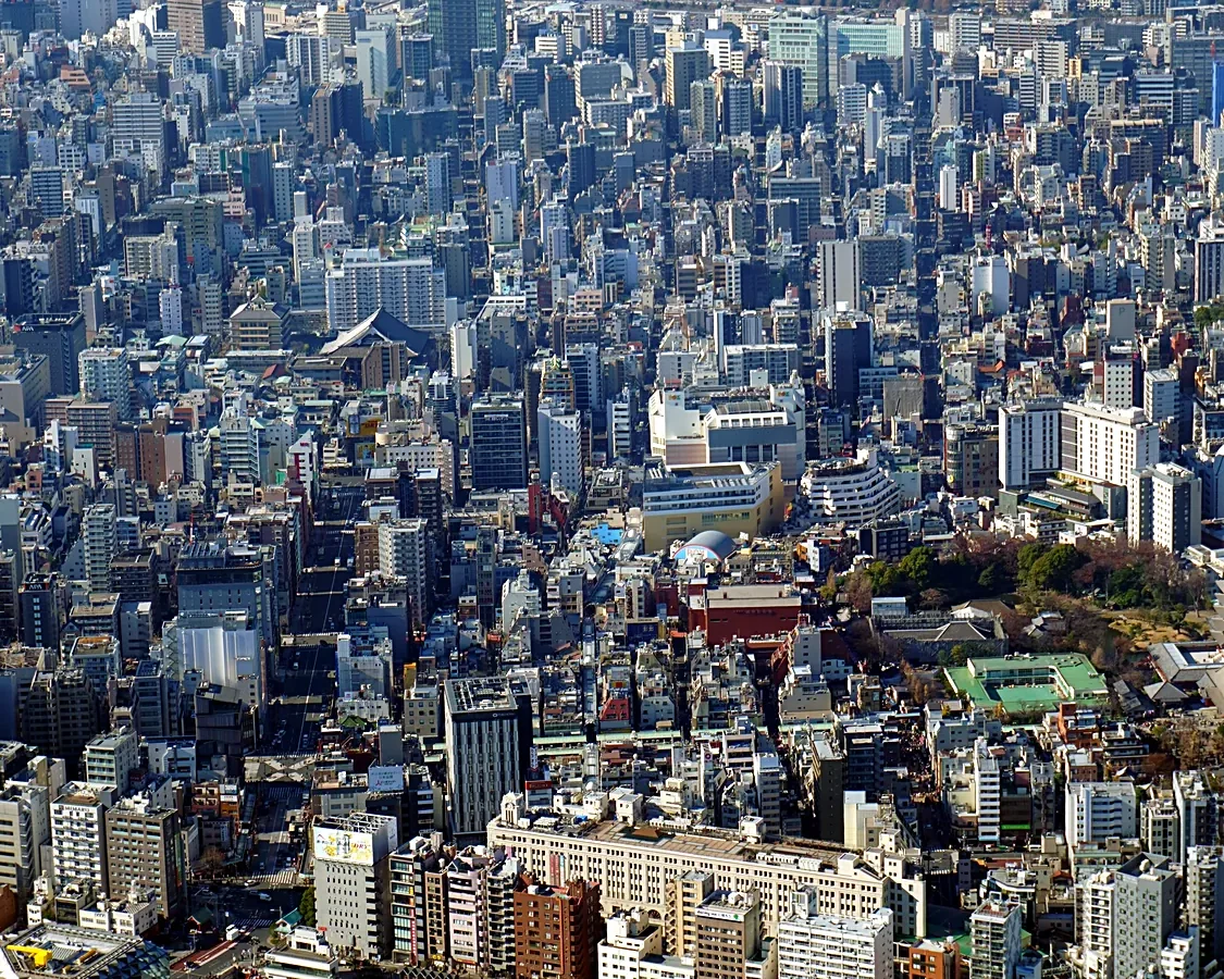 Asakusa rooftops from the Tokyo Skytree