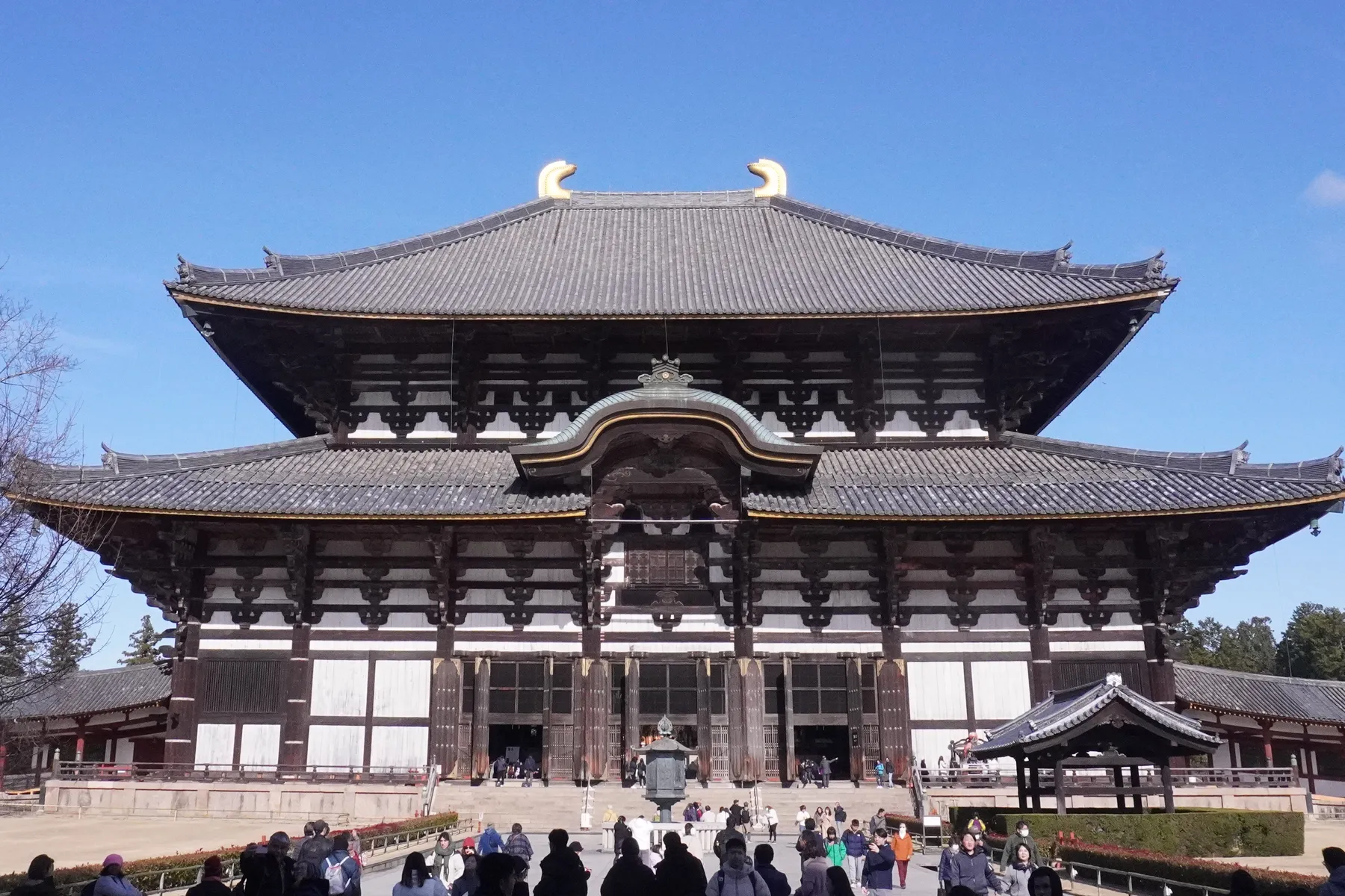 The Daibutsuden in December 2023 under a clear blue sky, visitors on the path in front.